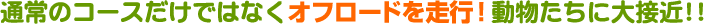�ʏ�̃R�[�X�����ł͂Ȃ��I�t���[�h�𑖍s�A���������ɑ�ڋ�!!