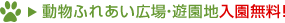 �����ӂꂠ���L��E�V���n��������
