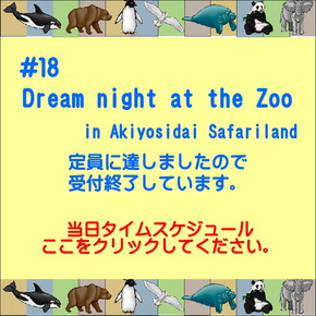 Dream night at the Zoo　当日タイムスケジュール