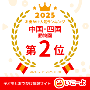 「いこーよ」年間人気ランキング2025　上位入賞しました