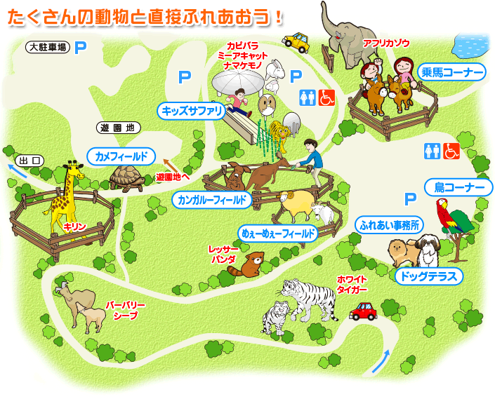 動物ふれあい広場／秋吉台自然動物公園 サファリランド