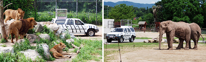 写真専用カーイメージ